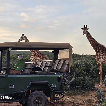 Valley Bushveld Country Lodge Addo Exterior foto