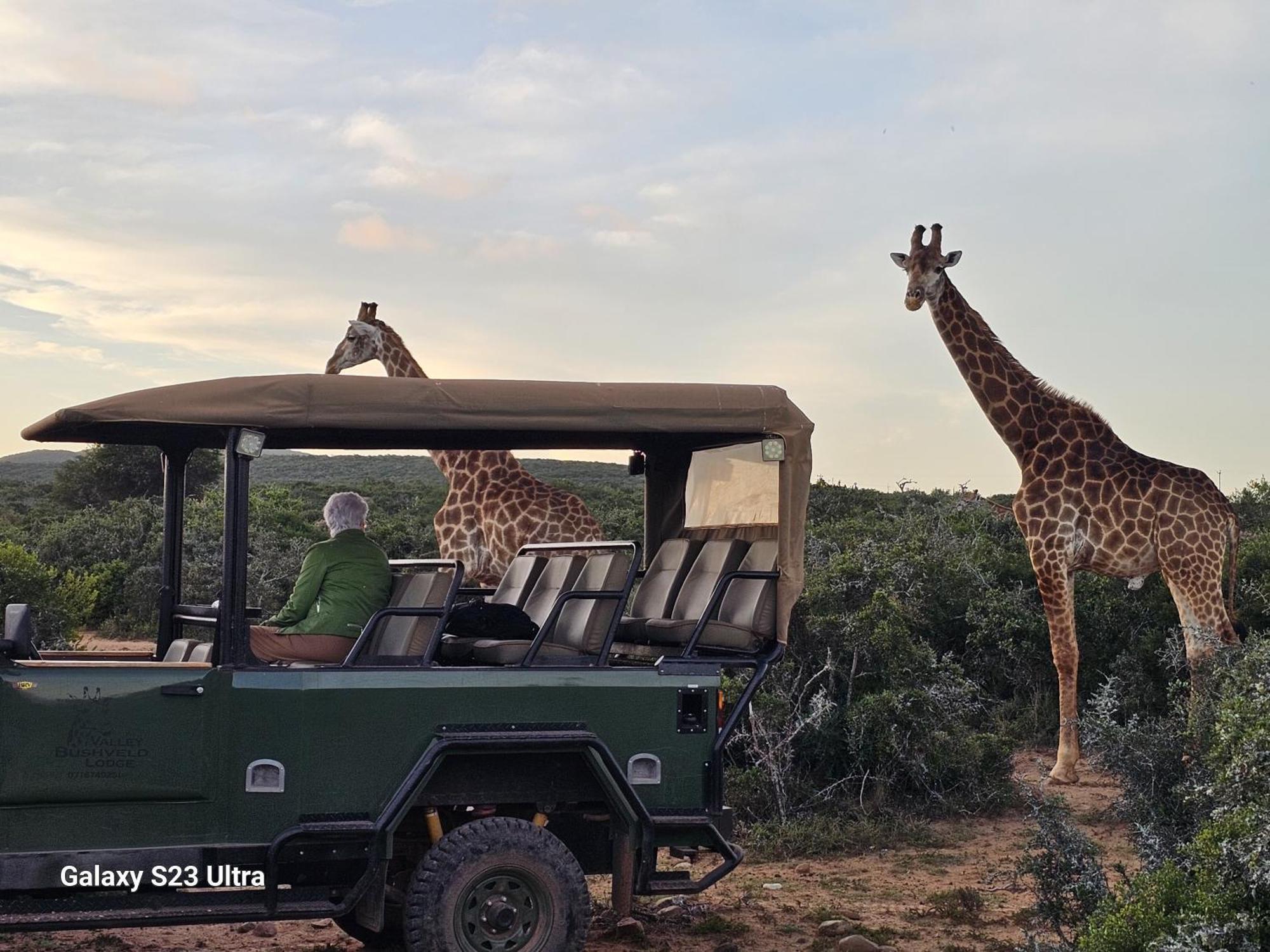 Valley Bushveld Country Lodge Addo Exterior foto