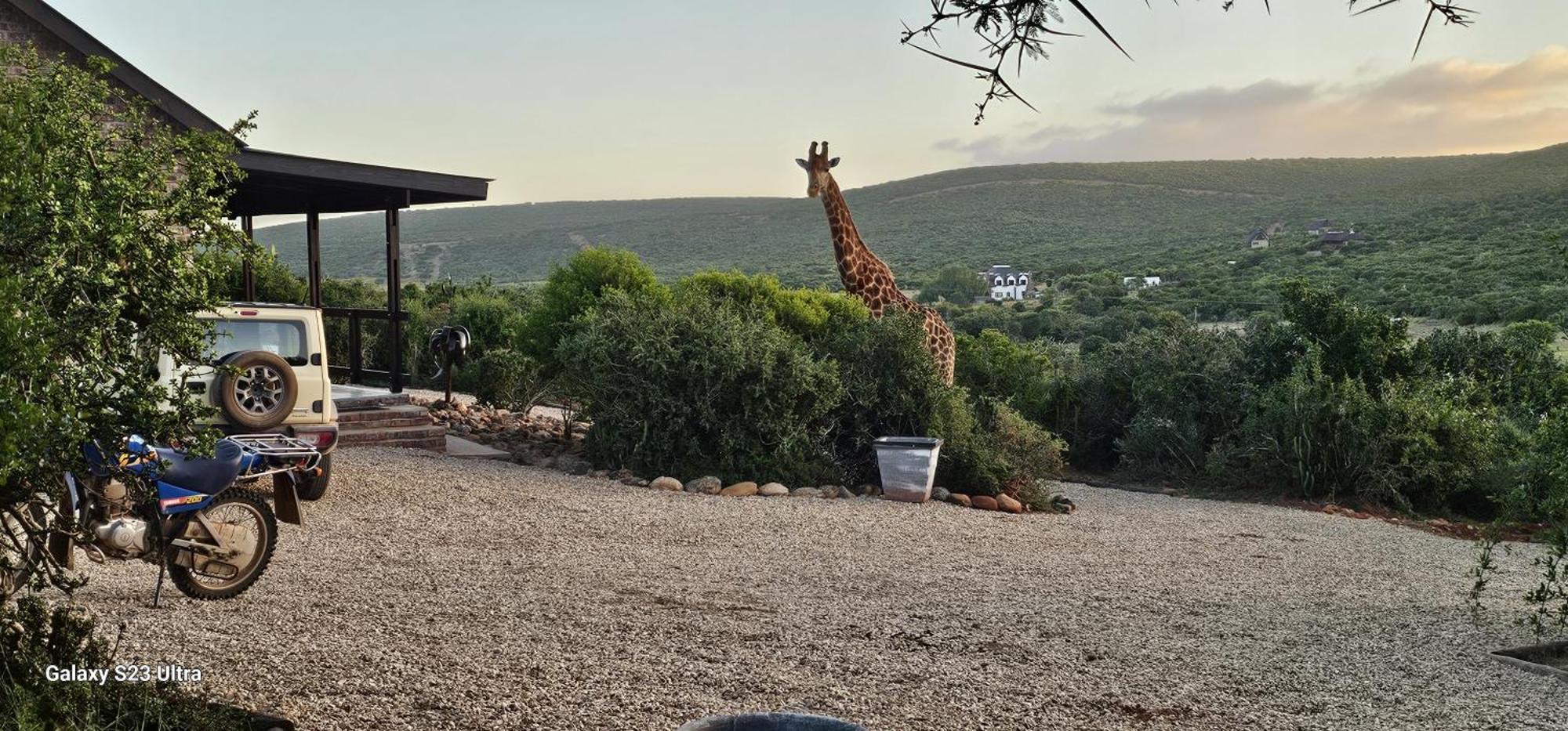 Valley Bushveld Country Lodge Addo Exterior foto