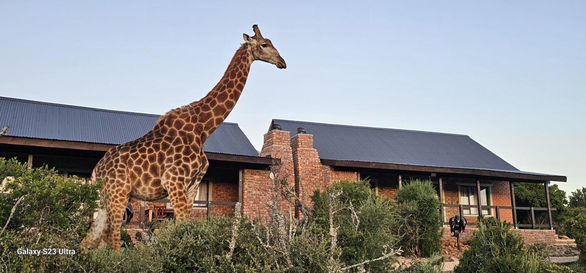 Valley Bushveld Country Lodge Addo Exterior foto