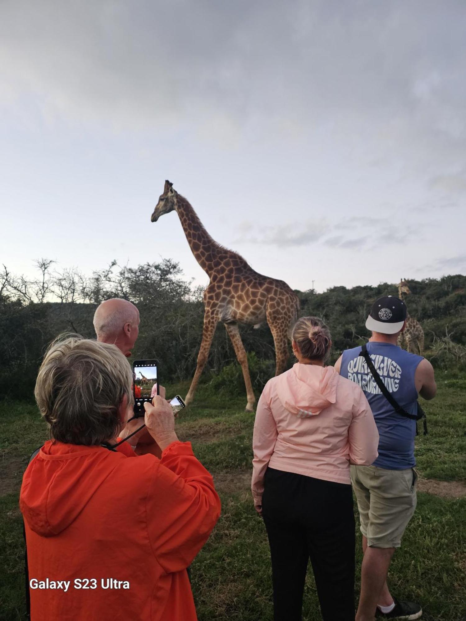 Valley Bushveld Country Lodge Addo Exterior foto