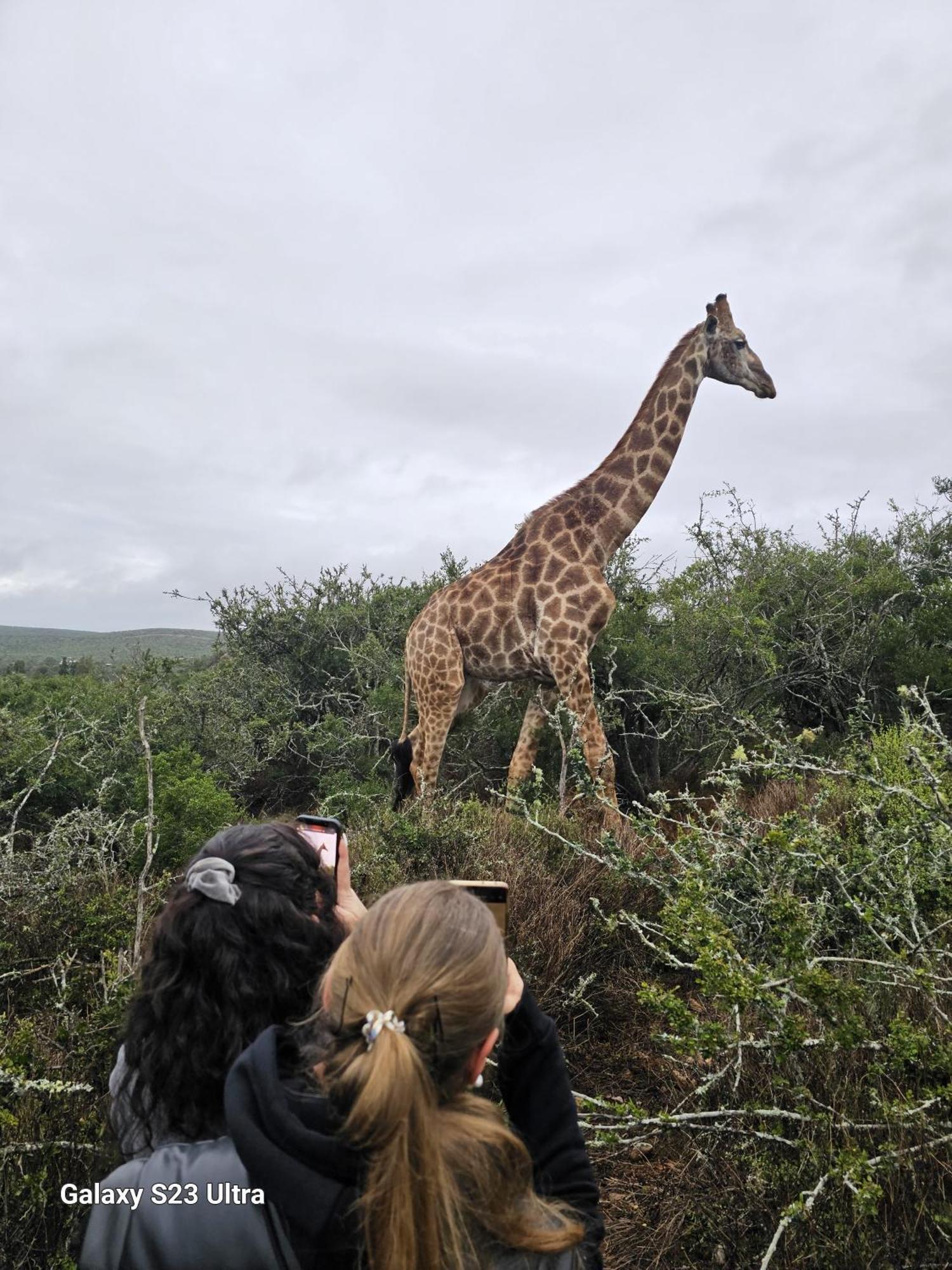 Valley Bushveld Country Lodge Addo Exterior foto
